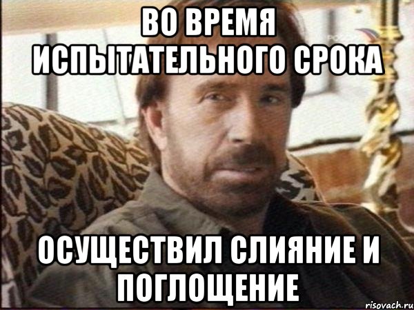 во время испытательного срока осуществил слияние и поглощение, Мем чак норрис