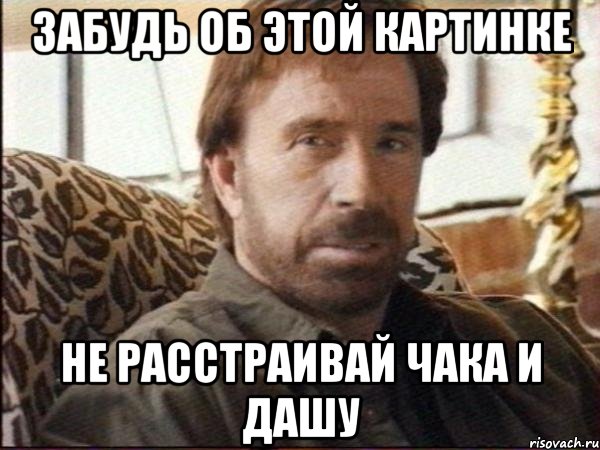 забудь об этой картинке не расстраивай чака и дашу, Мем чак норрис