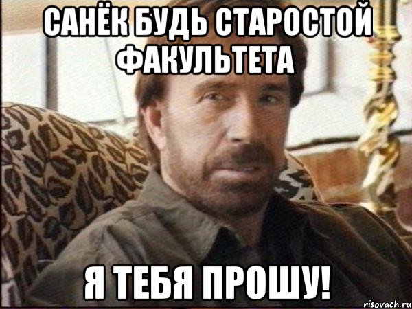санёк будь старостой факультета я тебя прошу!, Мем чак норрис