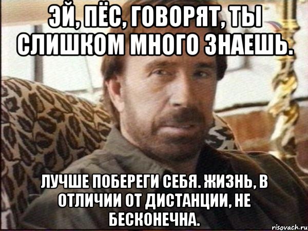 эй, пёс, говорят, ты слишком много знаешь. лучше побереги себя. жизнь, в отличии от дистанции, не бесконечна., Мем чак норрис