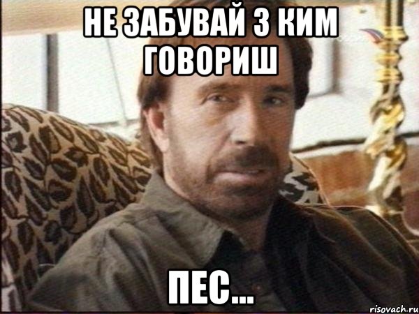не забувай з ким говориш пес..., Мем чак норрис