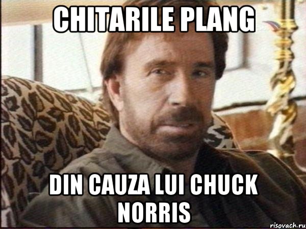chitarile plang din cauza lui chuck norris, Мем чак норрис