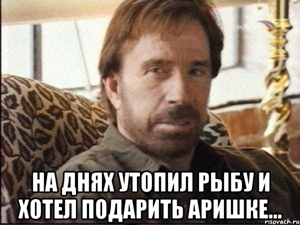  на днях утопил рыбу и хотел подарить аришке..., Мем чак норрис