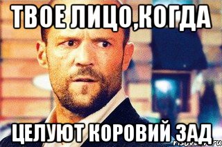 твое лицо,когда целуют коровий зад, Мем Чего-чего блять