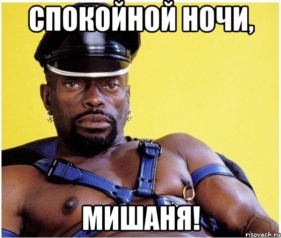 спокойной ночи, мишаня!, Мем Черный властелин