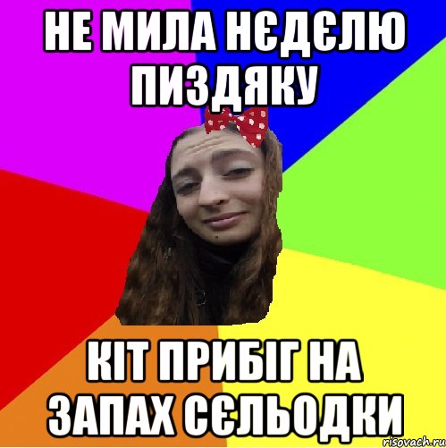 не мила нєдєлю пиздяку кіт прибіг на запах сєльодки