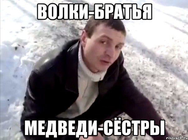 волки-братья медведи-сёстры, Мем Четко