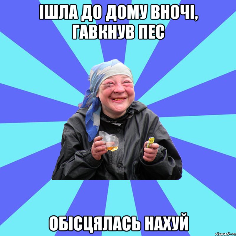 ішла до дому вночі, гавкнув пес обісцялась нахуй, Мем Чотка Двка