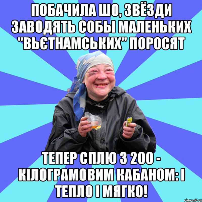 побачила шо, звёзди заводять собы маленьких "вьєтнамських" поросят тепер сплю з 200 - кілограмовим кабаном: і тепло і мягко!, Мем Чотка Двка