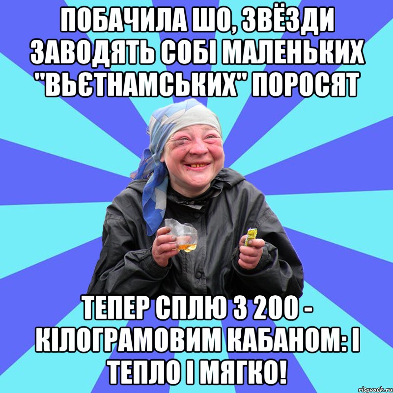 побачила шо, звёзди заводять собі маленьких "вьєтнамських" поросят тепер сплю з 200 - кілограмовим кабаном: і тепло і мягко!, Мем Чотка Двка