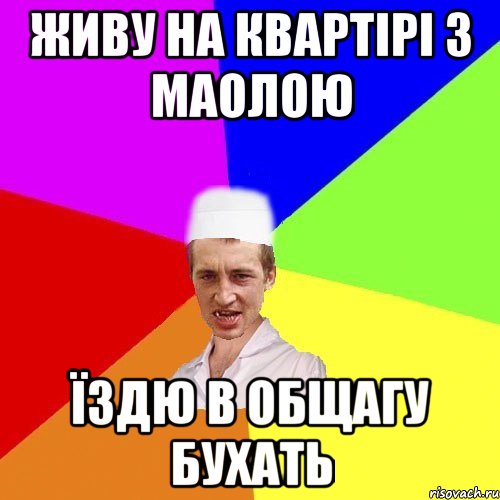 живу на квартірі з маолою їздю в общагу бухать, Мем чоткий медик