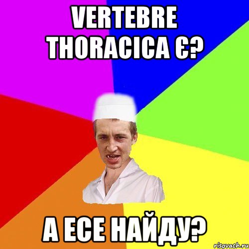 vertebre thoracica є? а есе найду?, Мем чоткий медик