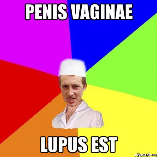 penis vaginae lupus est, Мем чоткий медик