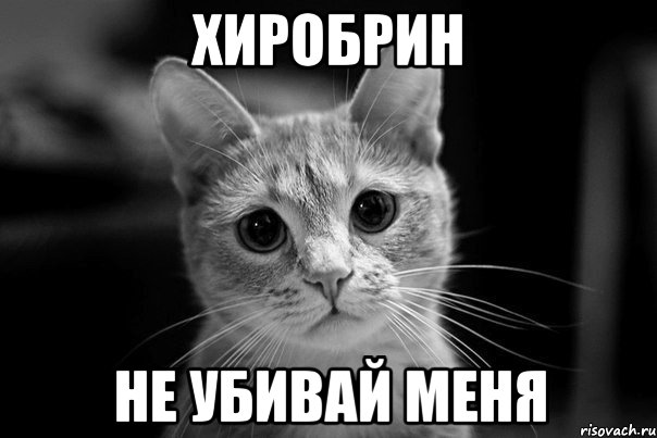 хиробрин не убивай меня
