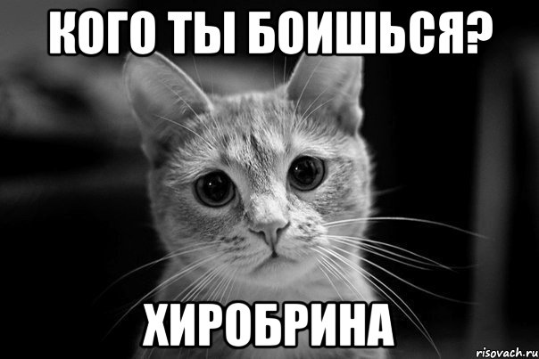 кого ты боишься? хиробрина