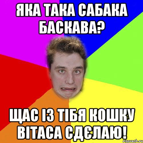 яка така сабака баскава? щас із тібя кошку вітаса сдєлаю!