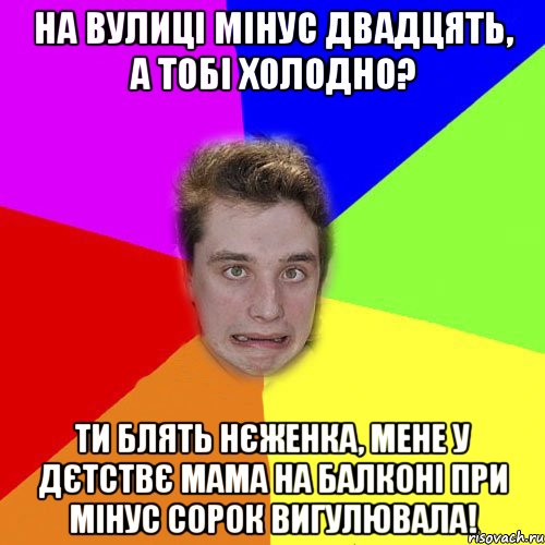 на вулиці мінус двадцять, а тобі холодно? ти блять нєженка, мене у дєтствє мама на балконі при мінус сорок вигулювала!