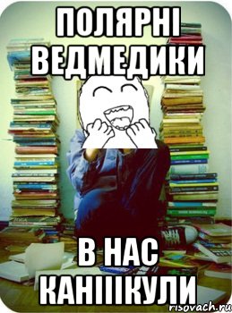 полярні ведмедики в нас канііікули