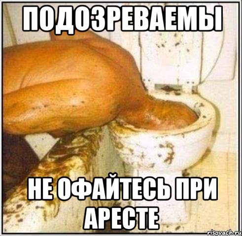 подозреваемы не офайтесь при аресте, Мем Дайвер