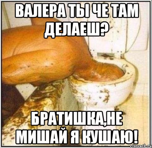 валера ты че там делаеш? братишка,не мишай я кушаю!, Мем Дайвер