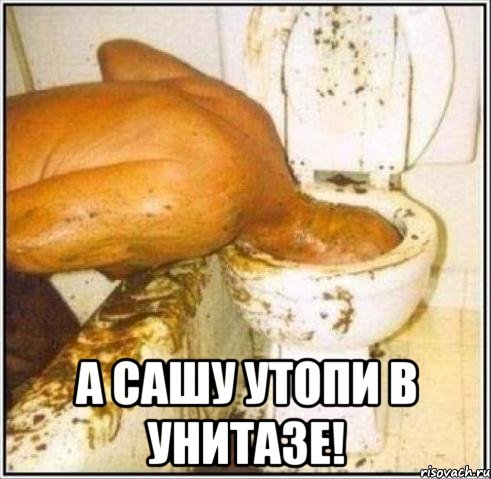  а сашу утопи в унитазе!, Мем Дайвер