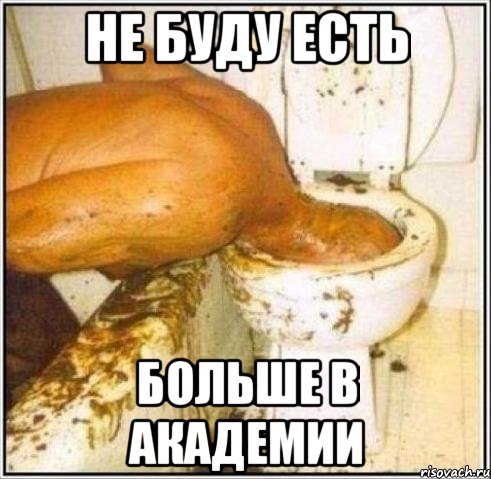 не буду есть больше в академии, Мем Дайвер