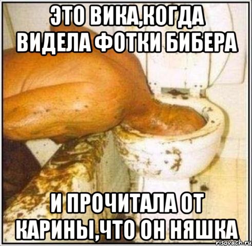 это вика,когда видела фотки бибера и прочитала от карины,что он няшка, Мем Дайвер