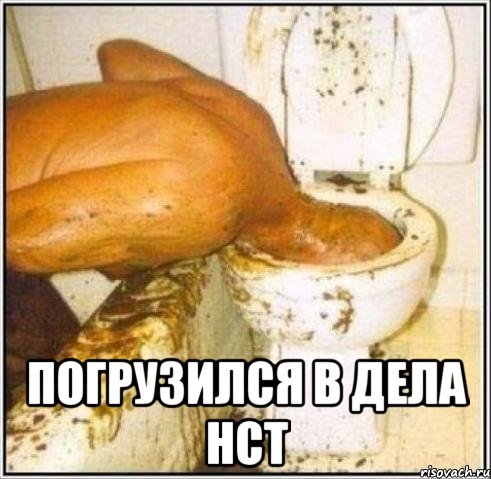  погрузился в дела нст, Мем Дайвер