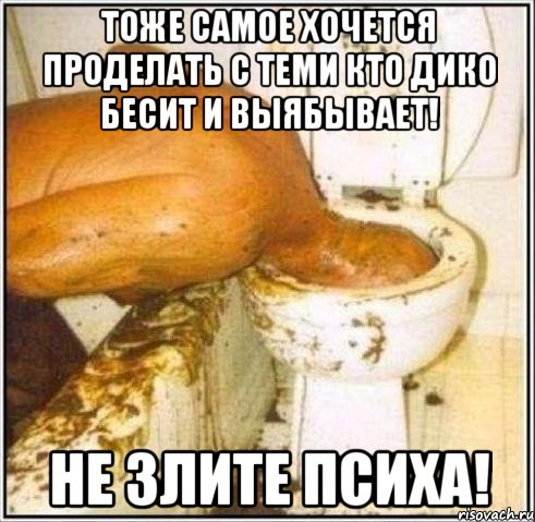 тоже самое хочется проделать с теми кто дико бесит и выябывает! не злите психа!, Мем Дайвер