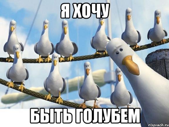 я хочу быть голубем