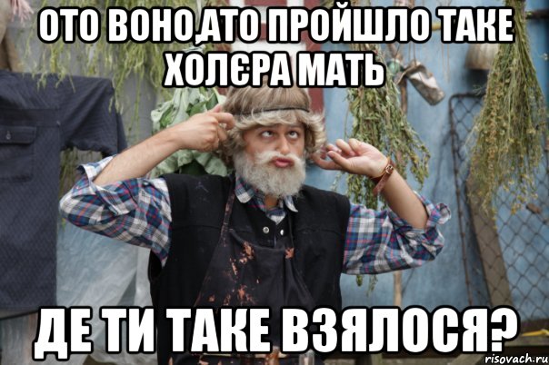 ото воно,ато пройшло таке холєра мать де ти таке взялося?