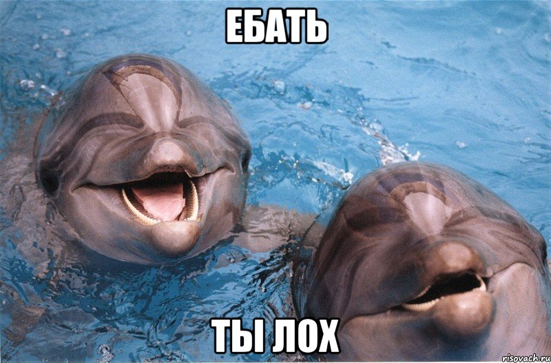 ебать ты лох