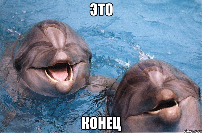 это конец