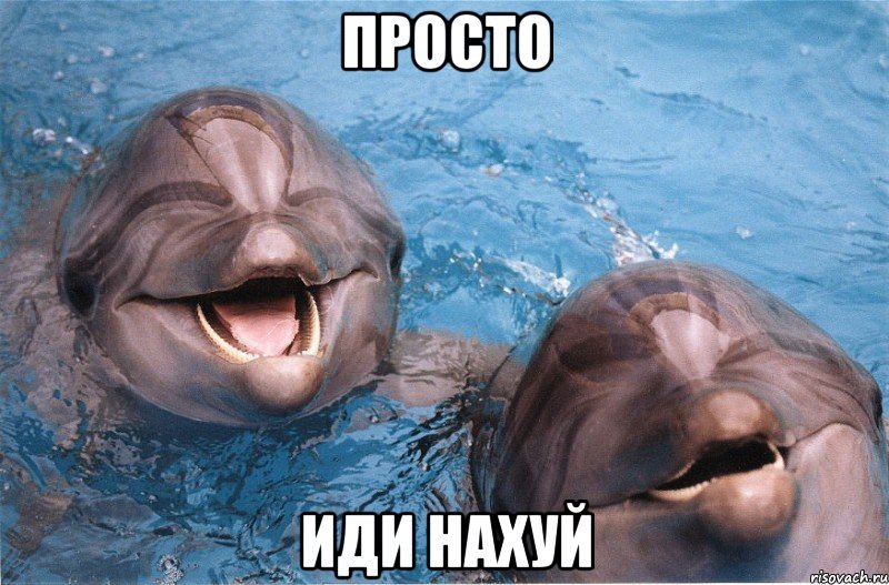 просто иди нахуй