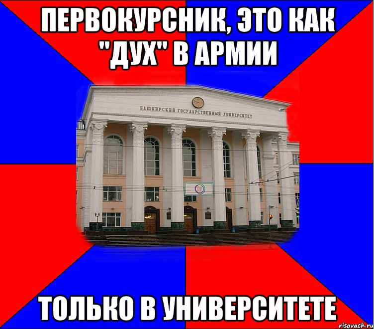 первокурсник, это как "дух" в армии только в университете