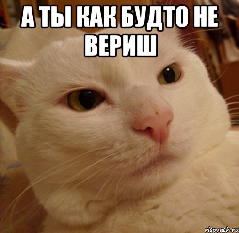 а ты как будто не вериш 