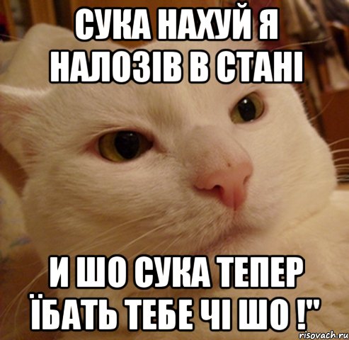 сука нахуй я налозів в стані и шо сука тепер їбать тебе чі шо !"
