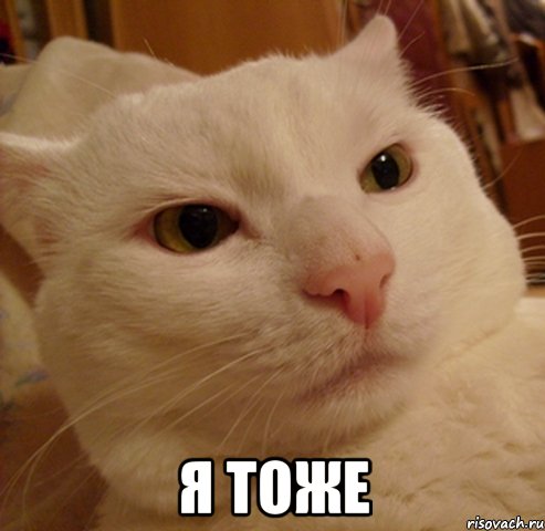  я тоже