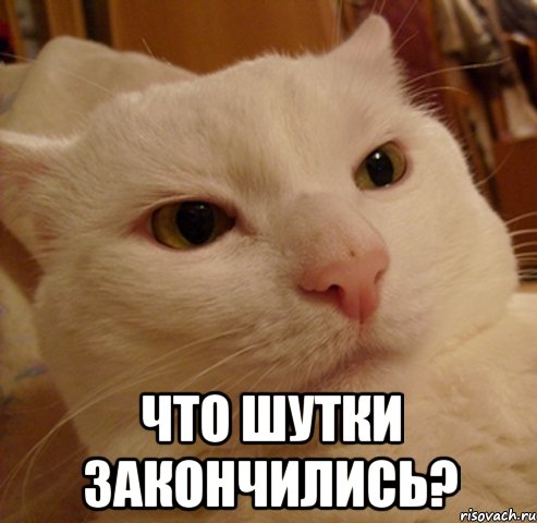  что шутки закончились?