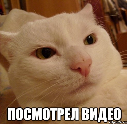  посмотрел видео