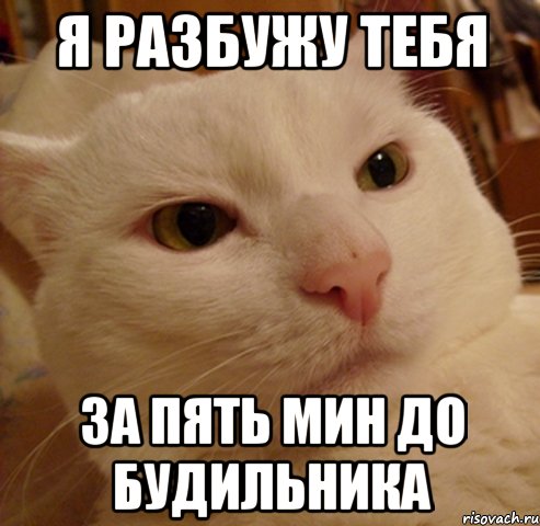 я разбужу тебя за пять мин до будильника
