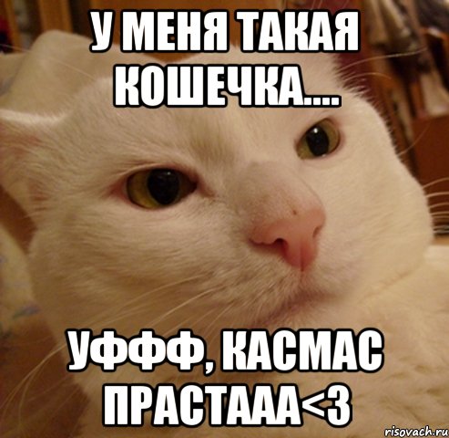 у меня такая кошечка.... уффф, касмас прастааа<3