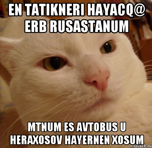 en tatikneri hayacq@ erb rusastanum mtnum es avtobus u heraxosov hayernen xosum