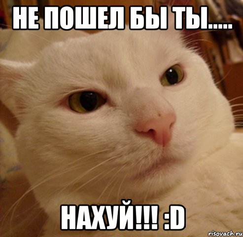 не пошел бы ты..... нахуй!!! :d