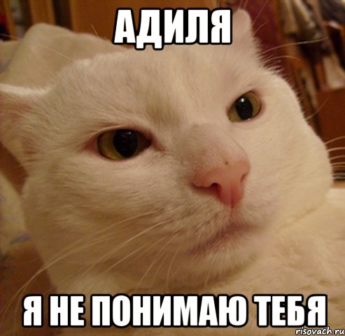 адиля я не понимаю тебя