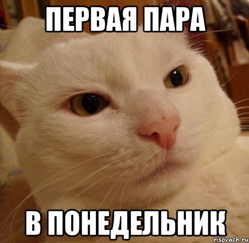 первая пара в понедельник