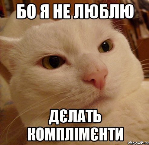 бо я не люблю дєлать комплімєнти