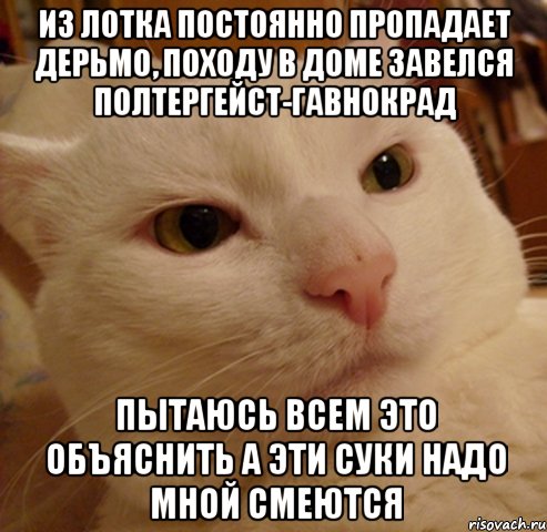 из лотка постоянно пропадает дерьмо, походу в доме завелся полтергейст-гавнокрад пытаюсь всем это объяснить а эти суки надо мной смеются