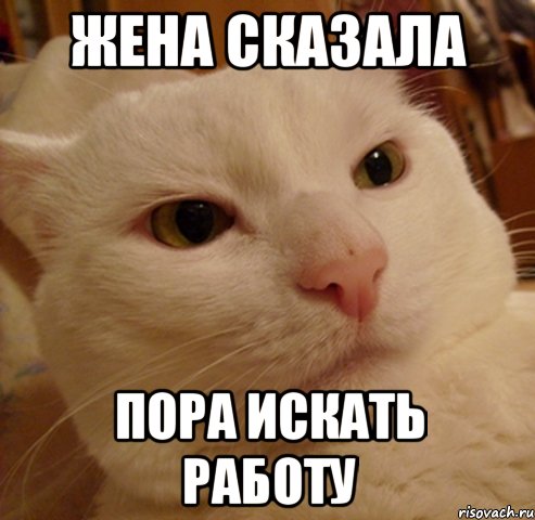 жена сказала пора искать работу