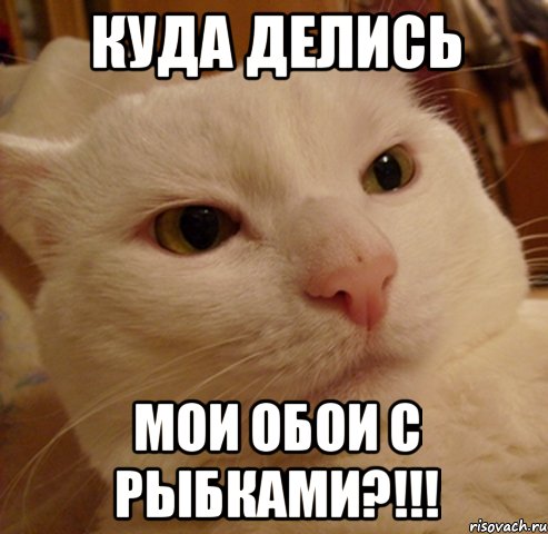 куда делись мои обои с рыбками?!!!